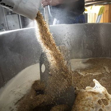Mashing in Barley for Beer Brewing