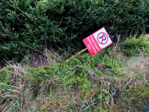 A No Parking sign from a brewery carpark is shown lying on its side having been blown over by a storm.